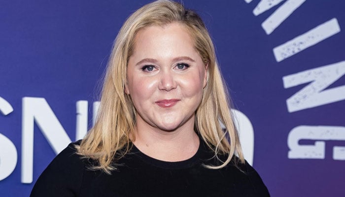 Amy Schumer Responds to Critics After Deleting Her Social Media Posts