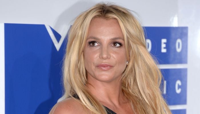 Britney Spears returns to her Instagram after deactivating it