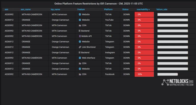 Netblocks chart showing restricted social media platforms in Cameroon on November 5, 2025