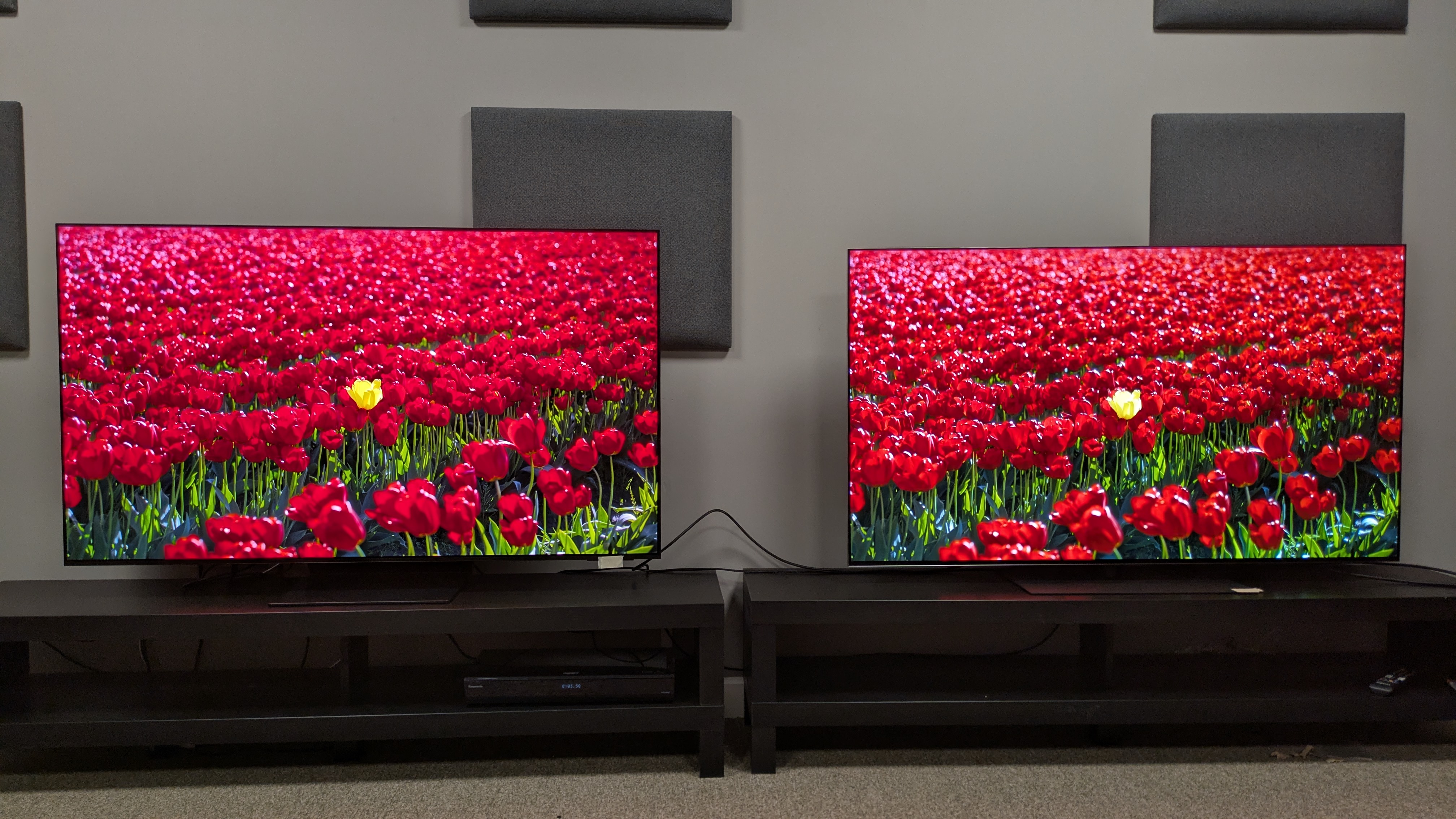 Samsung S95F (left) vs LG G5 (right) showing red flowers on the screen