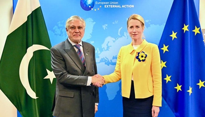 Deputy Prime Minister and Foreign Minister Ishaq Dar (left) and EU High Representative and Vice President Kaja Kallas during a meeting in Brussels, Germany, on November 22, 2025. — X/@ForeignOfficePk