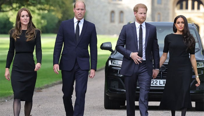 Prince Harry makes bold statement about wife Meghan as Duchess prepares to sue William