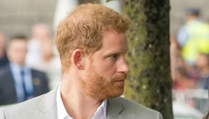 Prince Harry's hatred of everything Meghan Markle considers objectives comes to light