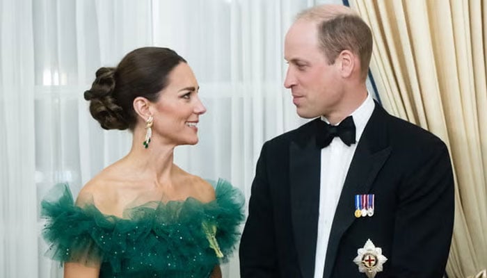 Prince William and Kate Middleton pay tribute to Remembrance Day with poem titled 'Letters from a Battlefield'