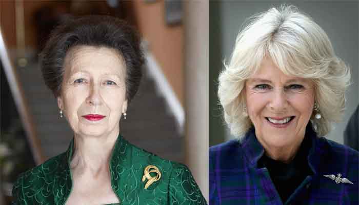 Princess Anne put Buckingham Palace on alert with her affair with Camilla's ex-husband