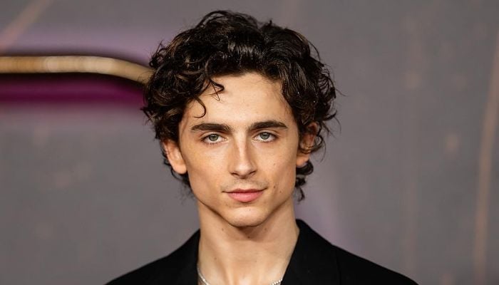 Timothée Chalamet reveals that they once stopped him from ruining his career