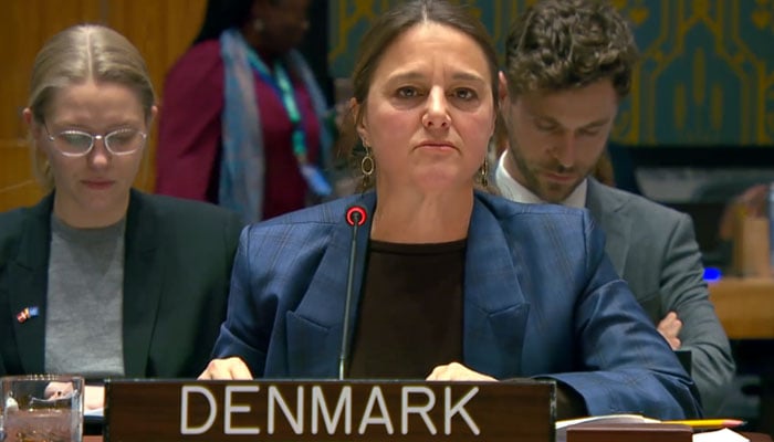 Sandra Jensen Landi, Deputy Permanent Representative of Denmark to the United Nations and Chair of the UNSC ISIL and Al-Qaeda Sanctions Committee. — Screenshot via UN WebTV website
