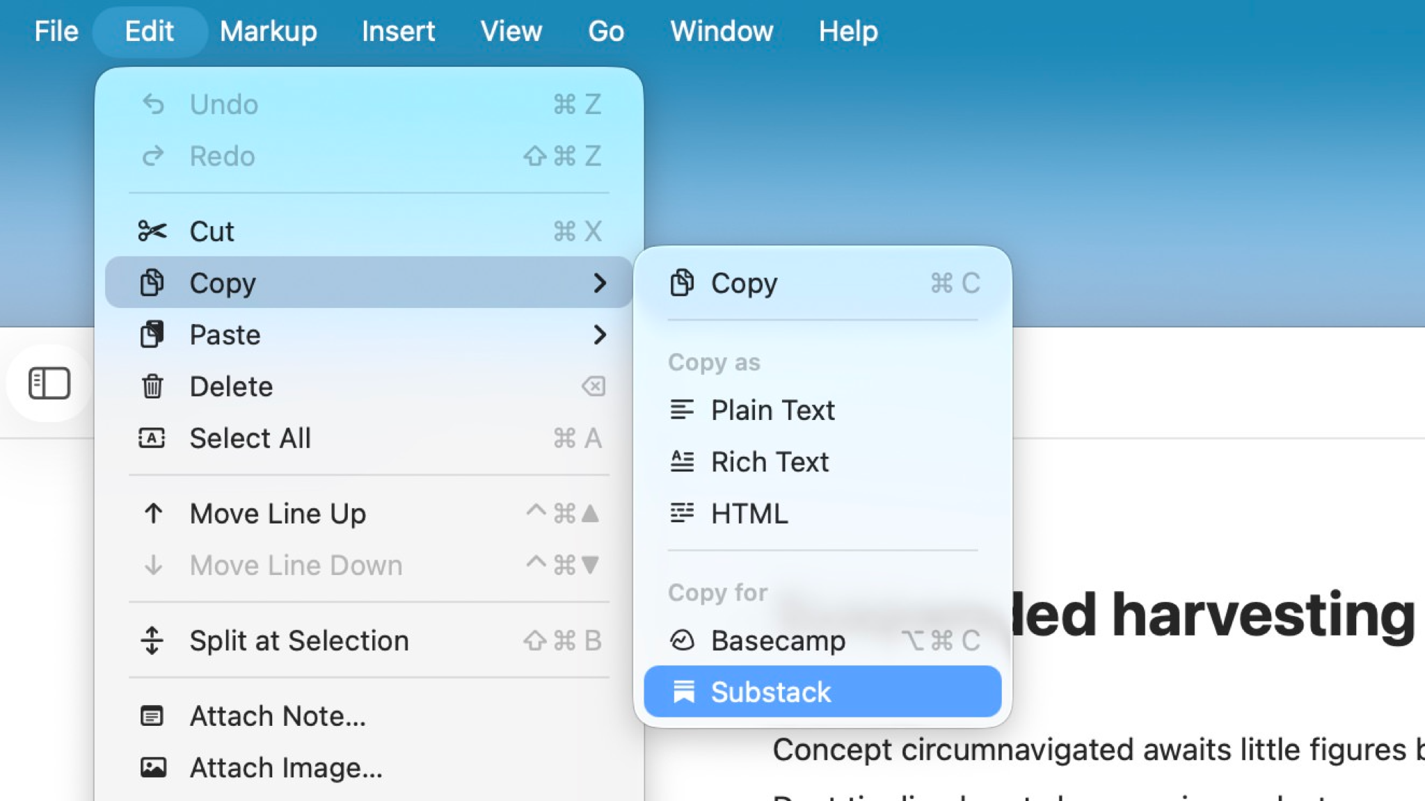 Copy options in the Ulysses app