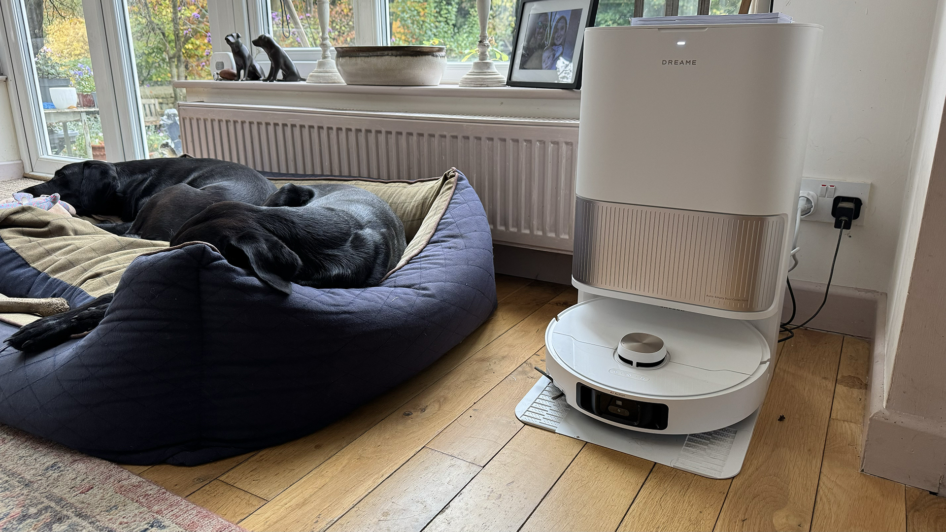 Dreame L40 Ultra robot vacuum cleaner on its base, next to the dog bed