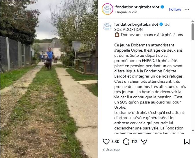 Brigitte Bardot last post on Instagram days before her death