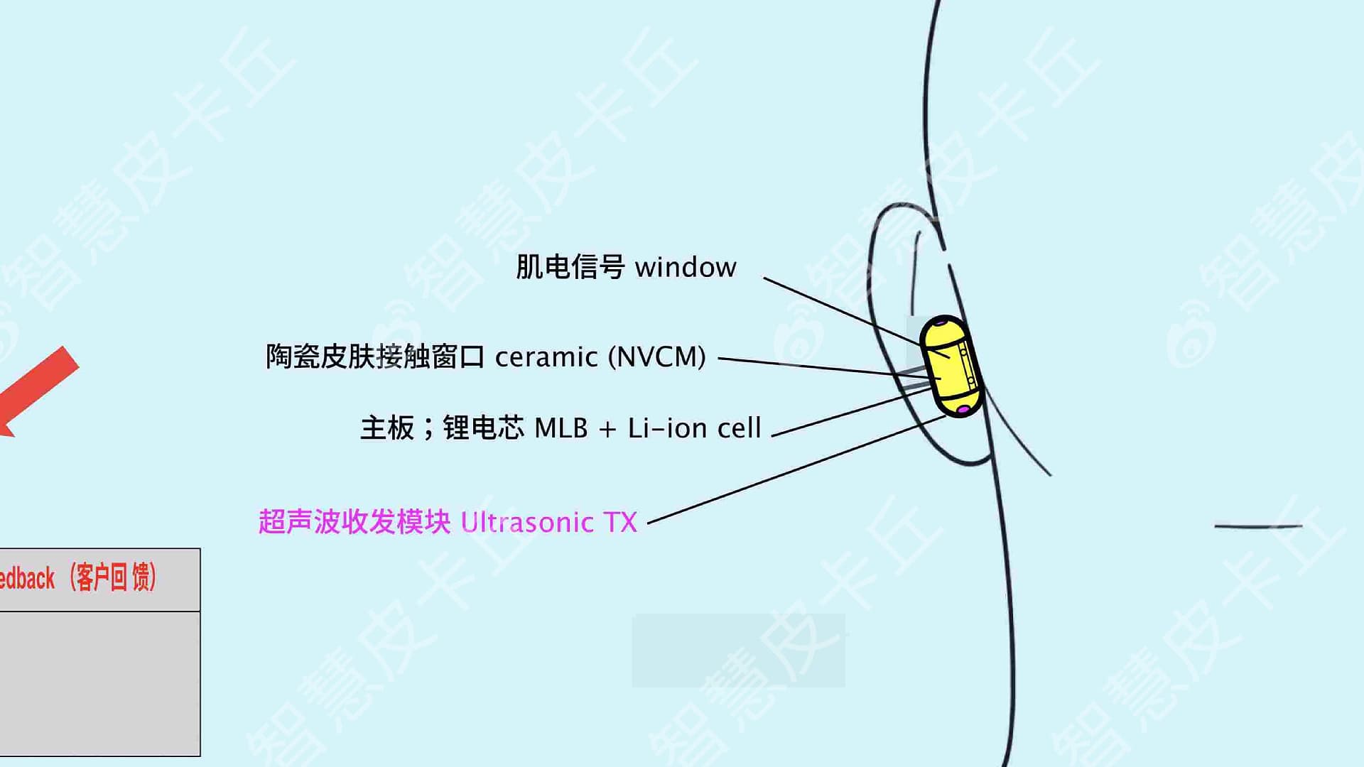 A leaked diagram of the portable device 'Sweetpea' project.