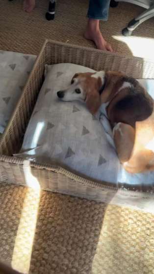 Prince Harry reacts to Meghan Markle's Valentine's gift: I love you!