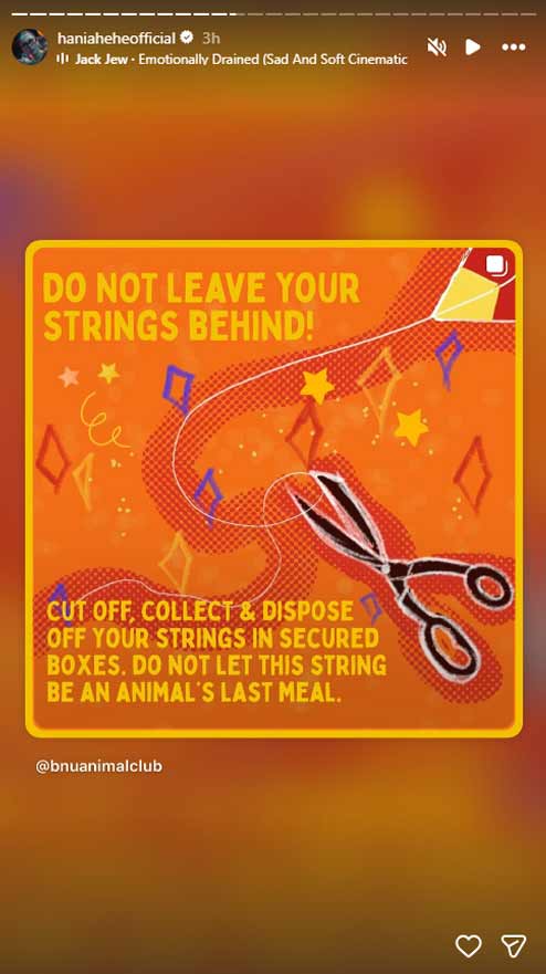 Showbiz stars delight in Lahore's welcome to Basant