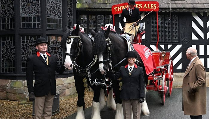 King Charles meets the county horses