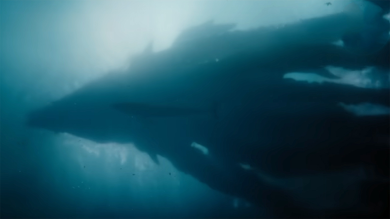 Titan X swimming in the ocean in Monarch: Legacy of Monsters season 2