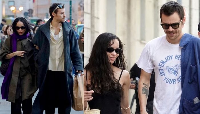 Harry Styles Shares Marriage Plans Amid Romance Rumors With Zoe Kravitz