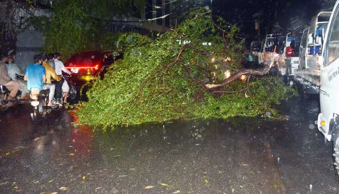 A fallen tree lies on a road after heavy rain, thunderstorms and strong winds hit Karachi, March 18, 2026. – APP