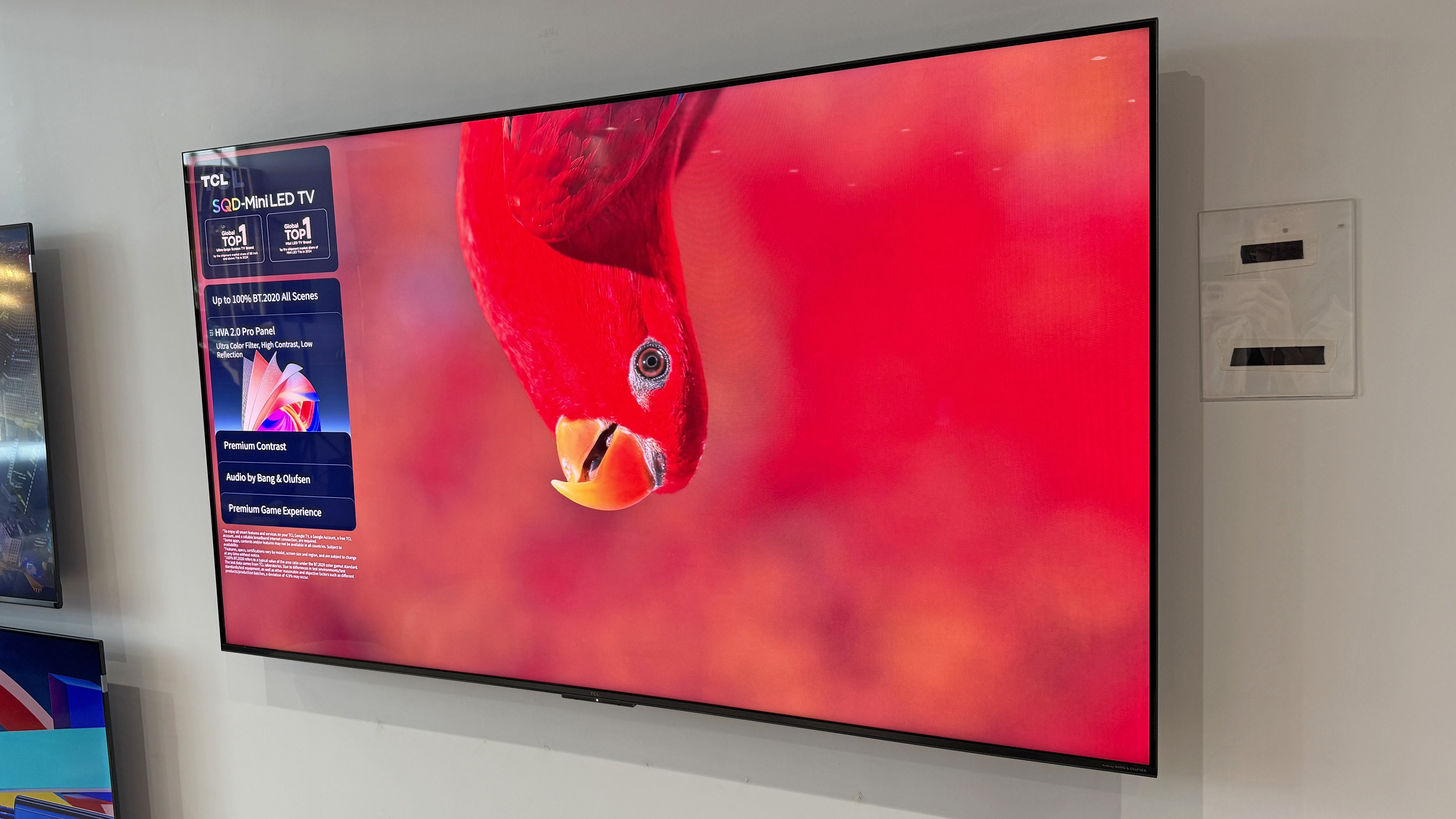 The TCL C7L TV at a launch event, with an image of a red parrot hanging from the top of the screen, against a very red background, showing strong color depth on the TV.