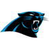 argentine flag