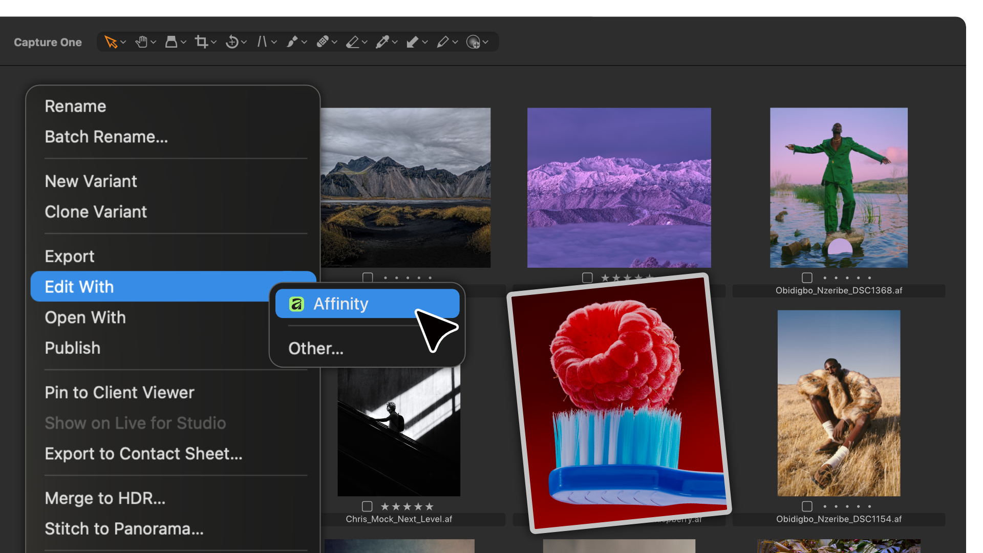 Screenshot of Canva, Affinity and Cavalry