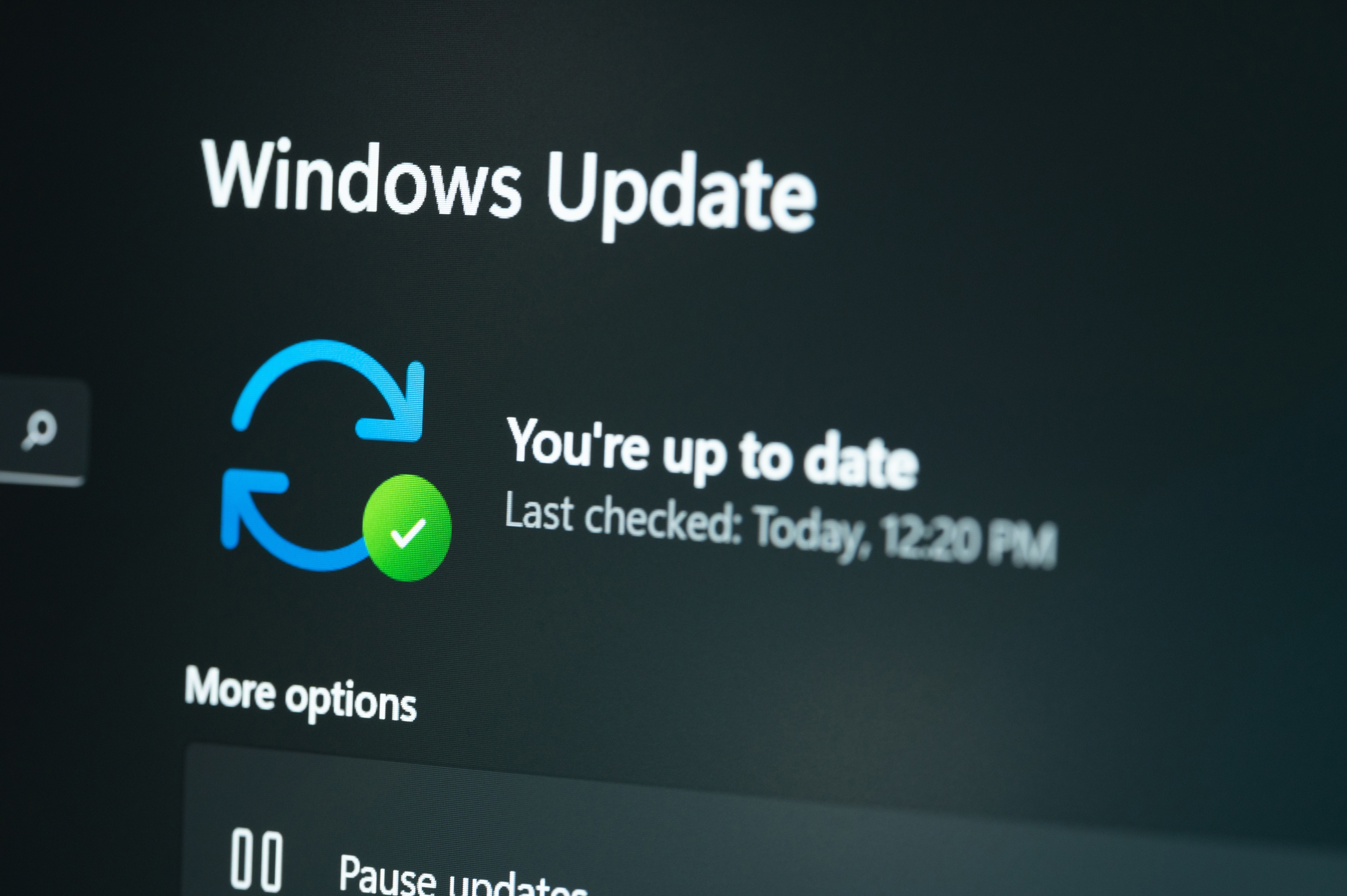 Checking Windows update on laptop screen close-up view