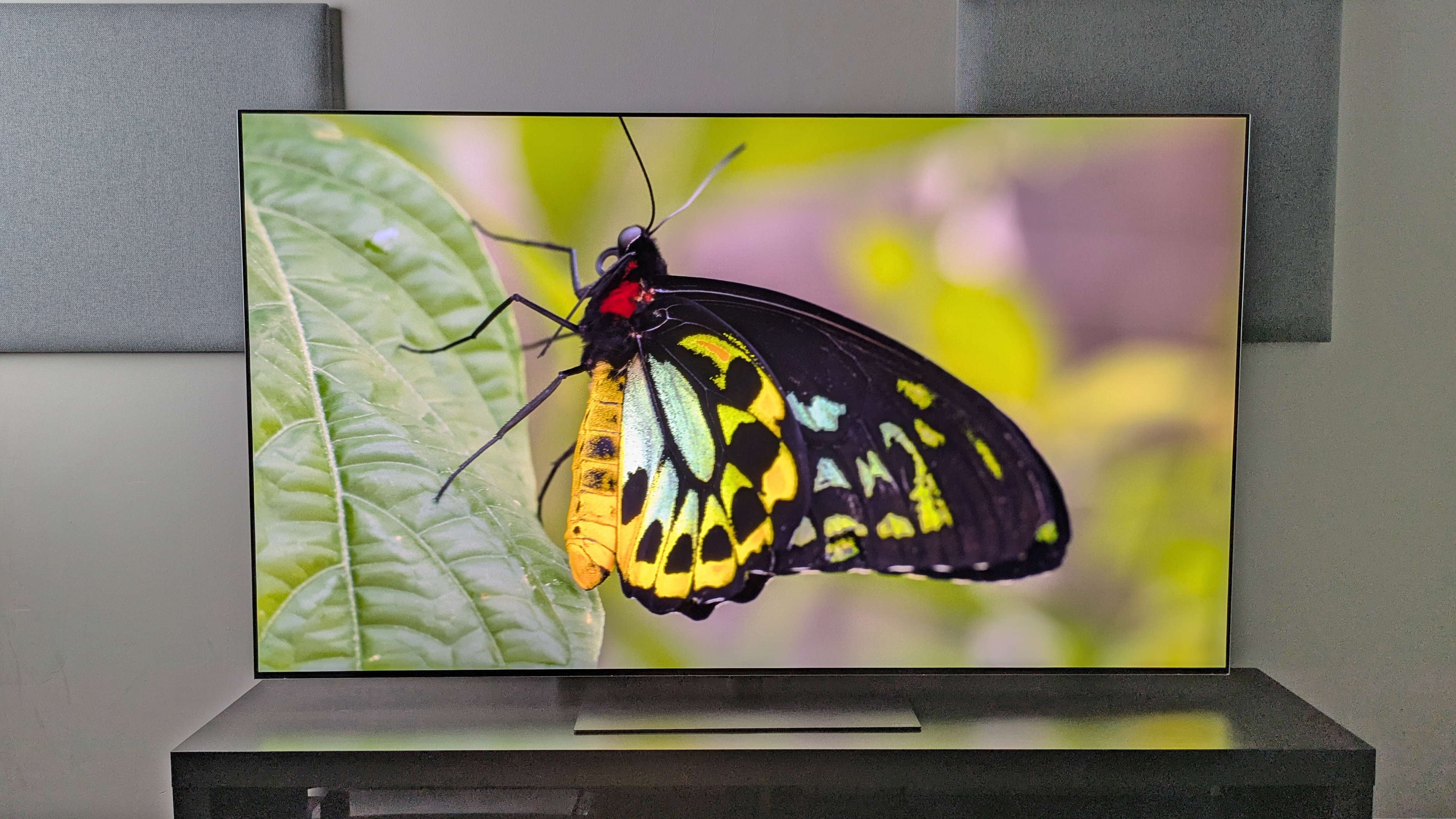 The LG G6 OLED TV displays the image of a butterfly, revealing rich green and yellow tones and deep black tones on its wings.