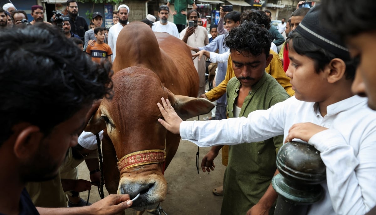 A boy touches a sacrificial bull before its slaughter during the Eid ul Adha festival in Karachi, May 27, 2026. – Reuters