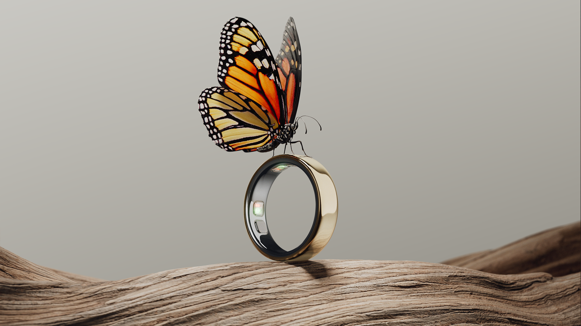 The Oura Ring 5 with a butterfly on top