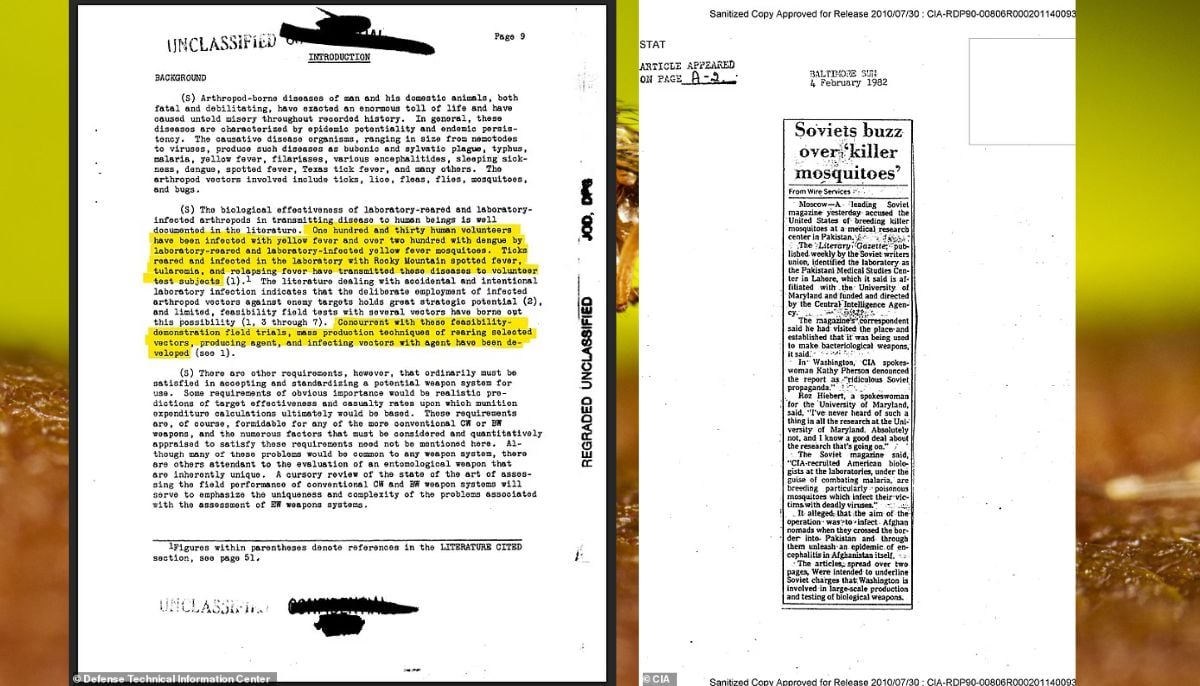 Secret Pentagon Files Reveal US Military Tested Using Killer Mosquitoes as Biological Weapons