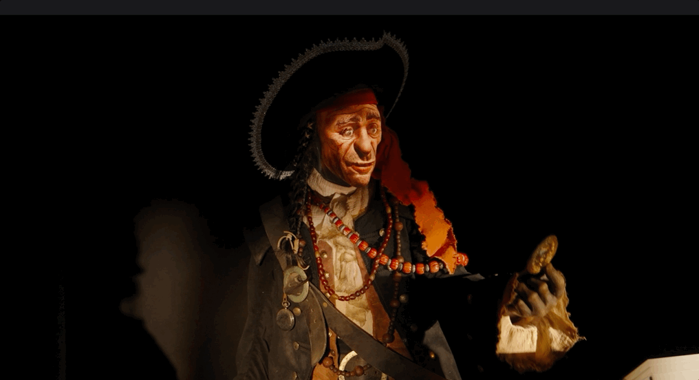 Disney's Next Generation Audio Animatronic, Pirate