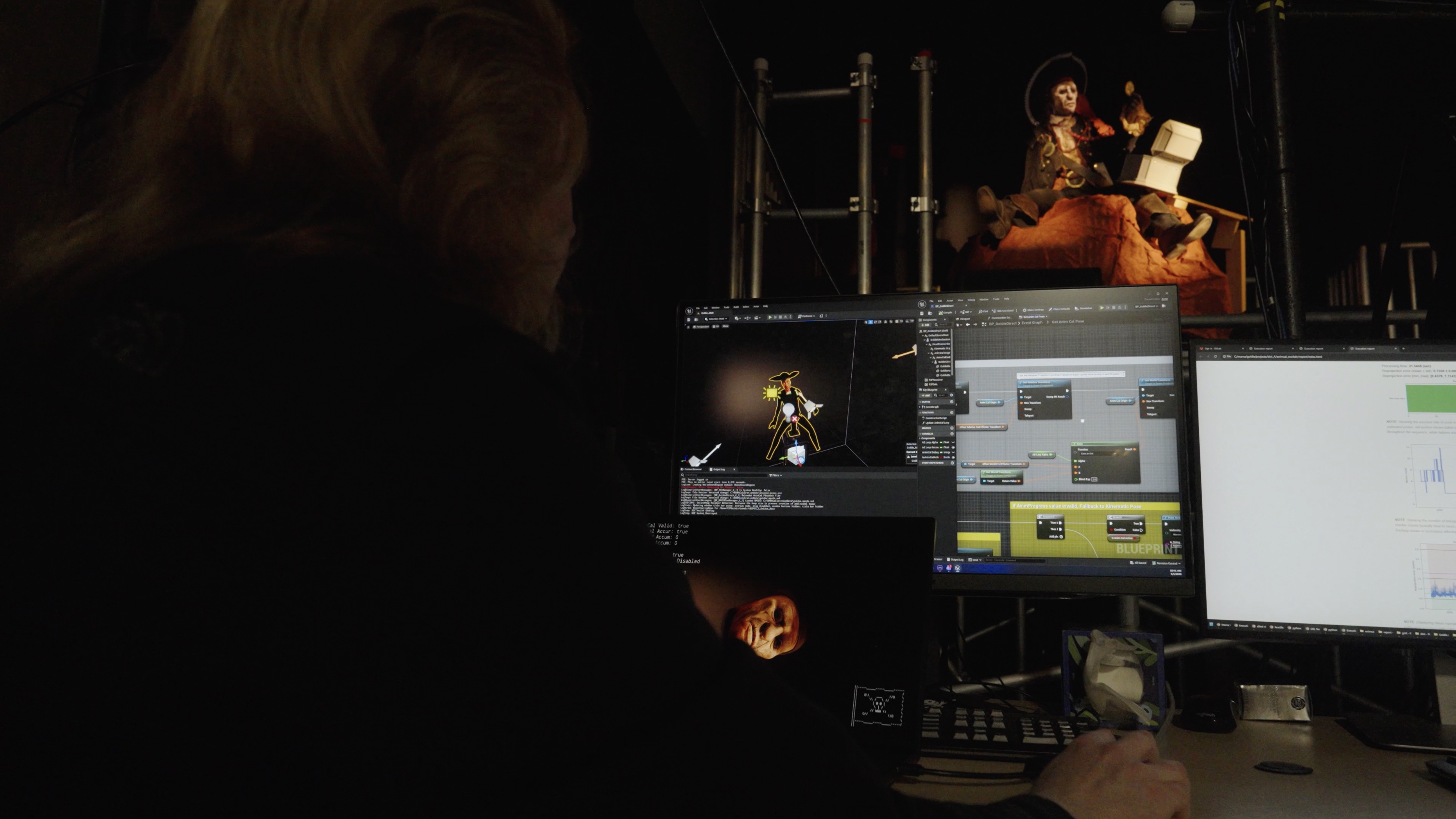 Disney's Next Generation Audio Animatronic, Pirate