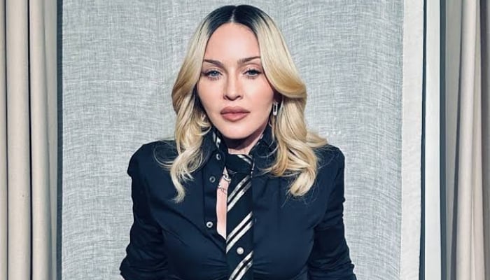 The Real Reason Why Madonna's Long-Awaited Biopic Never Happened