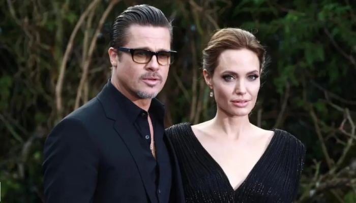 Brad Pitt recently scored a victory in Angelina Jolie's winery legal battle