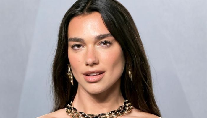 Dua Lipa and Callum Turner spent years planning major property changes