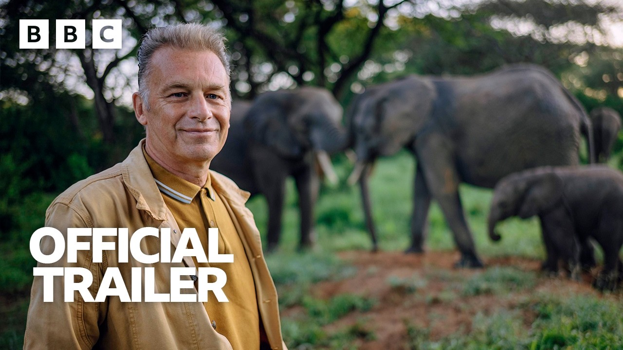 Evolution | Trailer - BBC - YouTube