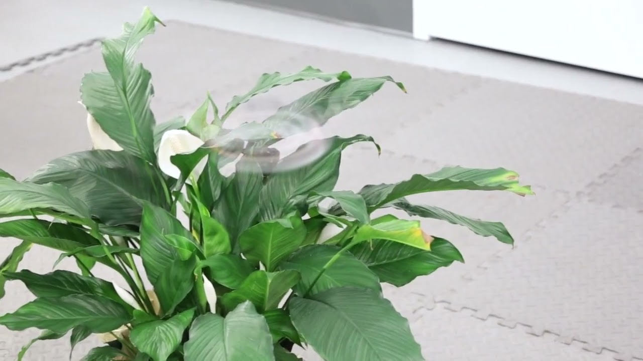 A new drone almost disappears in flight - YouTube